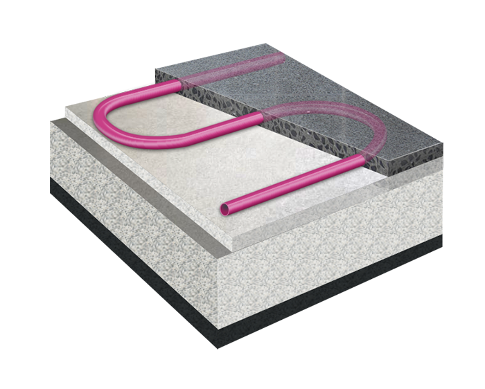 in_screed_nissl1